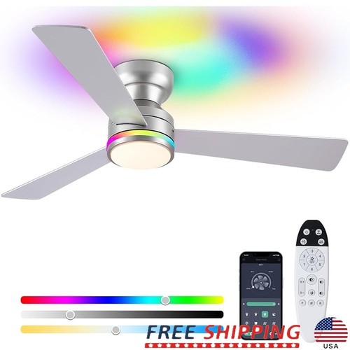 Remote control ceiling - ceiling, fan