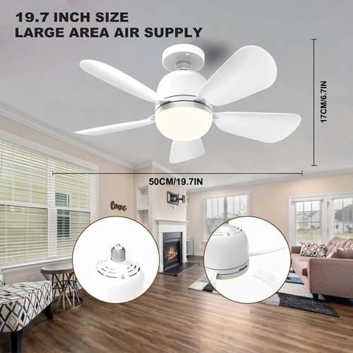 Ceiling fan with - fan, led